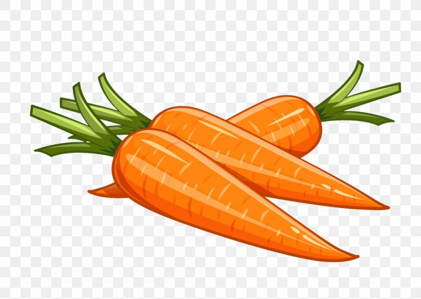 Carrot Euclidean Vector Vegetable Illustration, PNG, 1000x710px, Carrot, Daucus Carota, Depositphotos, Diet Food, Drawing Download Free