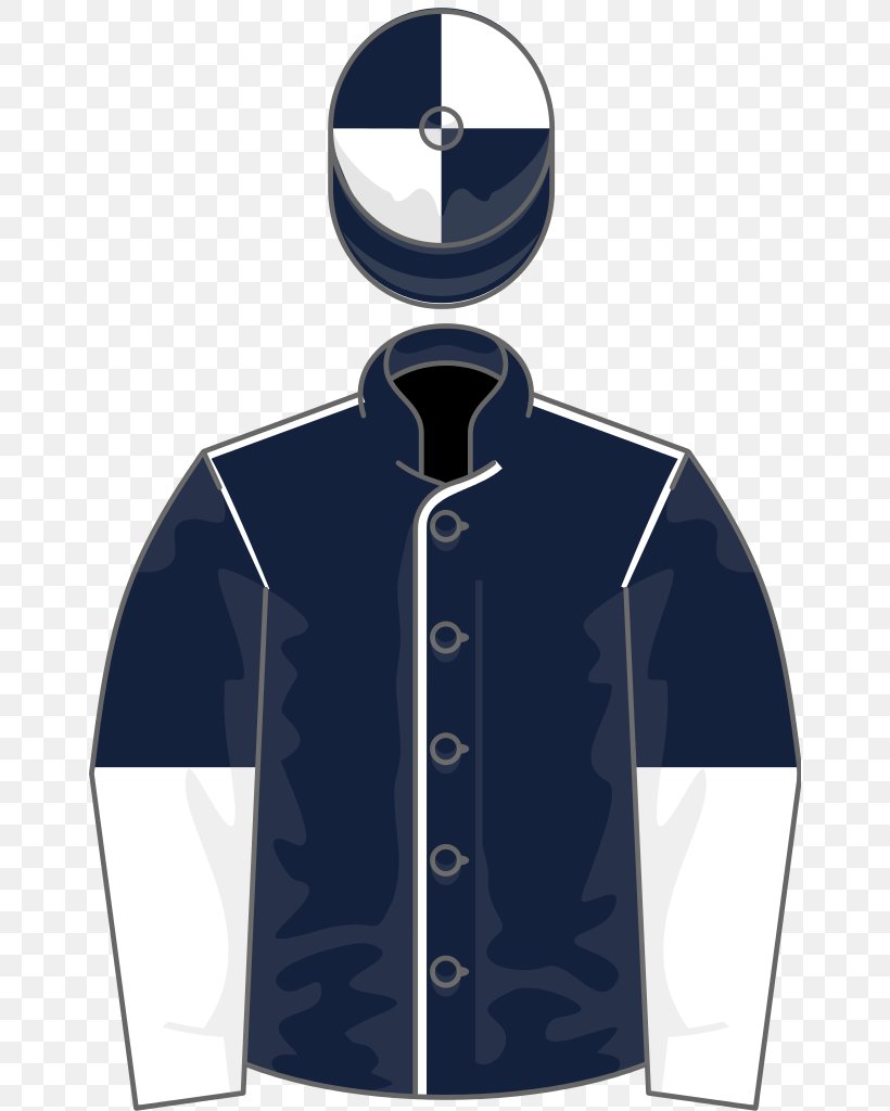 Horse Curragh Racecourse Racing Silks Bondi Beach, PNG, 656x1024px, Horse, Blue, Bondi Beach, Curragh Racecourse, Galileo Download Free