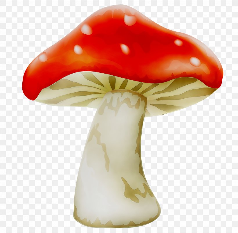 Clip Art Common Mushroom Image, PNG, 3000x2933px, Mushroom, Agaric, Ceramic, Common Mushroom, Fly Agaric Download Free
