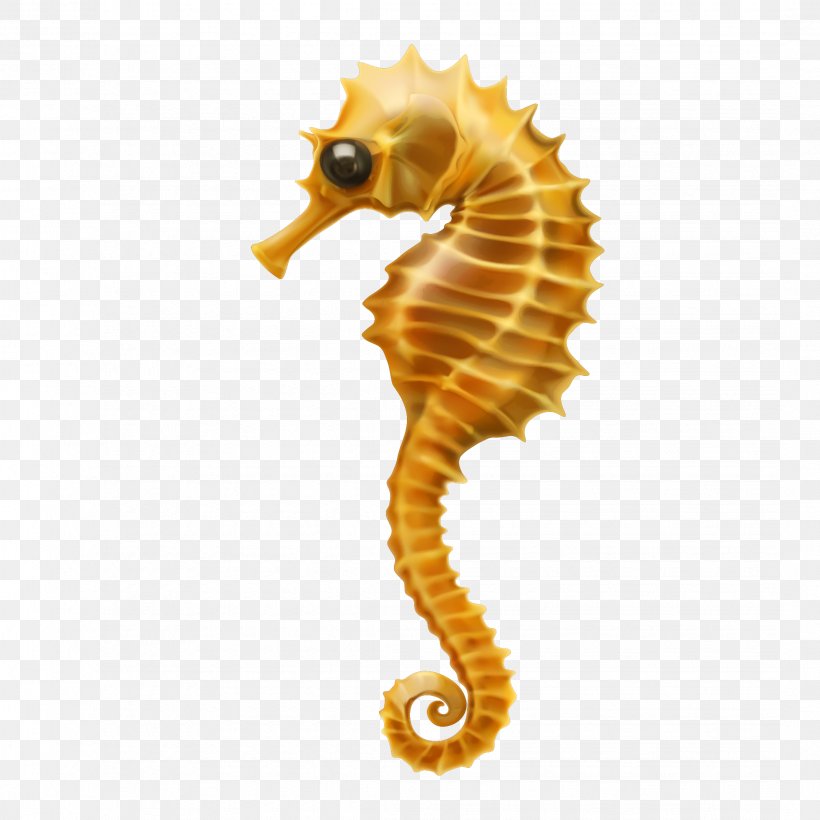 Seahorse Northern Seahorse Fish Animal Figure Bony-fish, PNG, 2144x2144px, Seahorse, Animal Figure, Bonyfish, Fish, Northern Seahorse Download Free