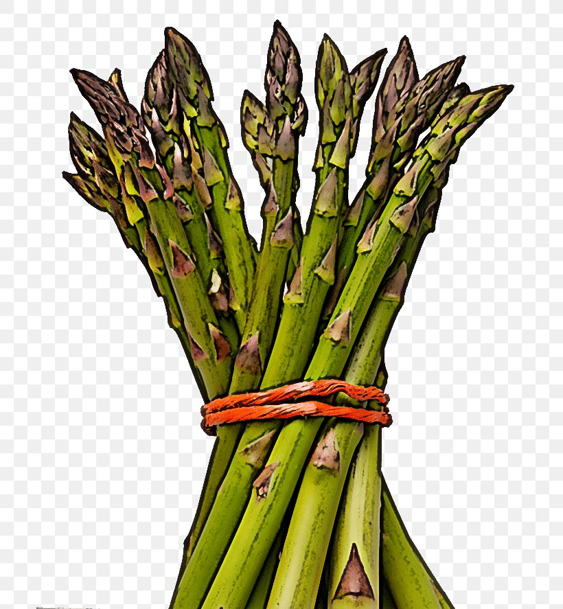 Asparagus Vegetable Plant Flower Food, PNG, 800x887px, Asparagus, Flower, Food, Plant, Plant Stem Download Free