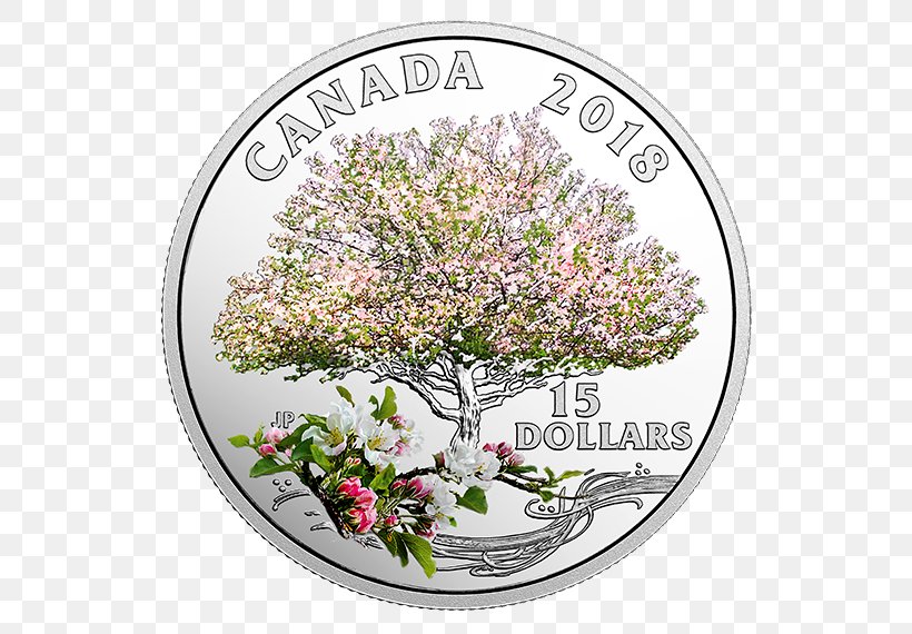 Canada Silver Coin Royal Canadian Mint, PNG, 570x570px, 2018, Canada, Blossom, Canadian Gold Maple Leaf, Coin Download Free