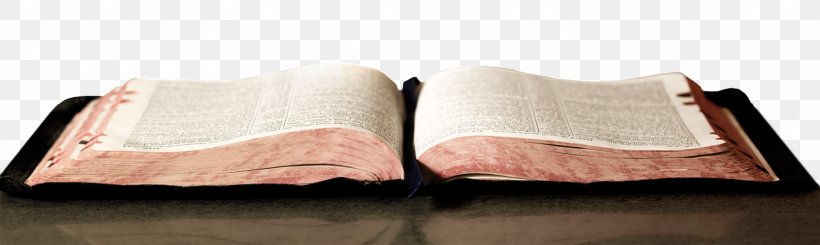 Fellowship Bible Church The Master's Seminary Christianity Biblical Inerrancy, PNG, 1600x480px, Bible, Arkansas, Baptists, Biblical Inerrancy, Biblical Infallibility Download Free