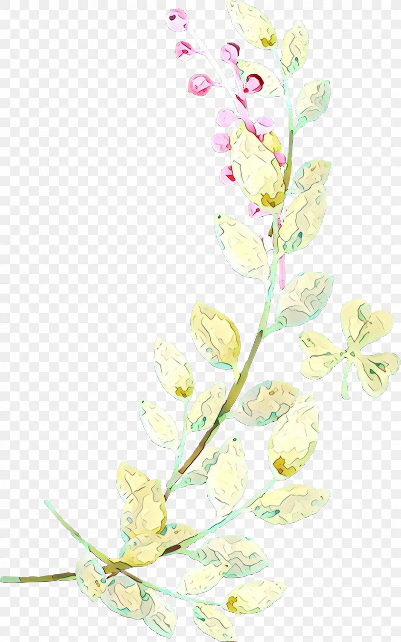 Flowers Background, PNG, 1707x2733px, Floral Design, Branch, Cut Flowers, Flower, Pedicel Download Free