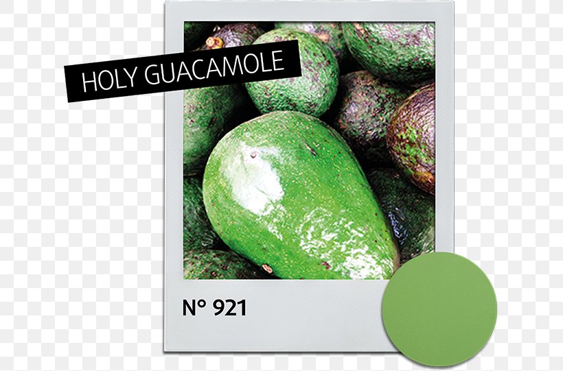 Guacamole Avocado Dipping Sauce Tortilla Chip, PNG, 633x541px, Guacamole, Alessandro Striplac, Avocado, Cucumber Gourd And Melon Family, Depositphotos Download Free