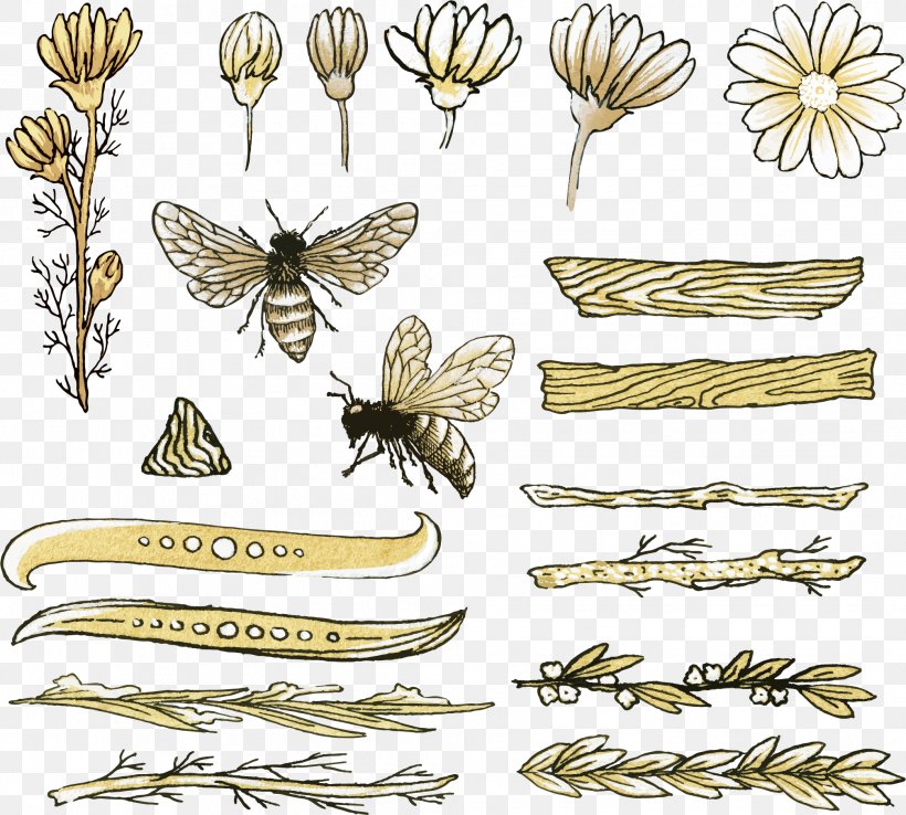 Honey Bee Drawing, PNG, 2012x1813px, Honey Bee, Animation, Arthropod, Bee, Beehive Download Free