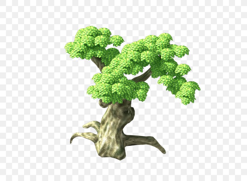 Tree Wood Branch, PNG, 800x600px, Tree, Bonsai, Branch, Flowerpot, Grass Download Free