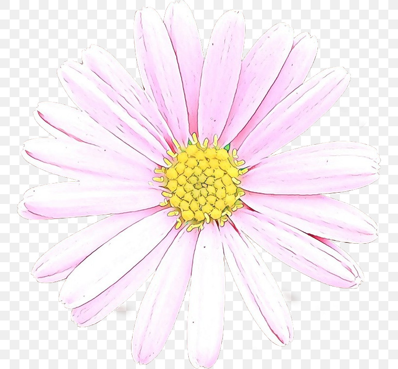 Daisy, PNG, 750x760px, Flower, Barberton Daisy, Chamomile, Daisy, Daisy Family Download Free