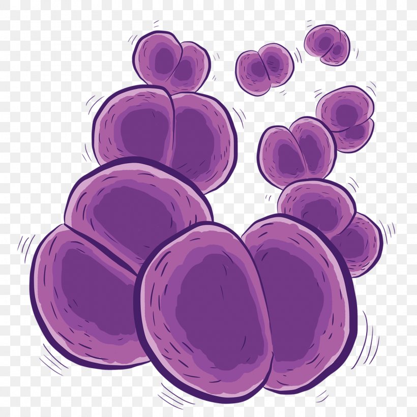 Meningococcus Meningitis Bacteria Infection Vaccine, PNG, 1280x1280px, Meningococcus, Bacteria, Bacterial Vaginosis, Child, Disease Download Free