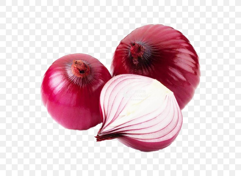 Red Onion Vegetable Food Potato Onion White Onion, PNG, 600x600px, Red Onion, Food, Garlic, Health, Home Remedies Download Free
