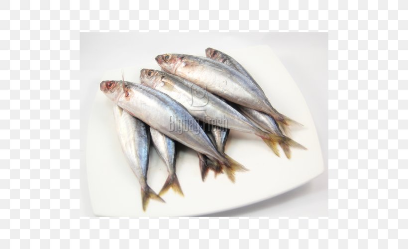 Sardine Pacific Saury Fish Products Oily Fish Blackfin Scad, PNG, 500x500px, Sardine, Anchovy, Anchovy Food, Animal Source Foods, Blackfin Scad Download Free