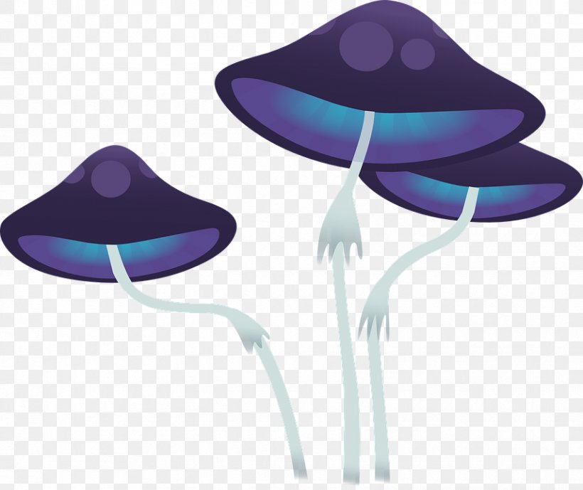Clitocybe Acromelalga Cortinarius Armillatus Fungus Mushroom Pileus, PNG, 856x720px, Fungus, Cobalt Blue, Cortinariaceae, Cortinarius, Flower Download Free