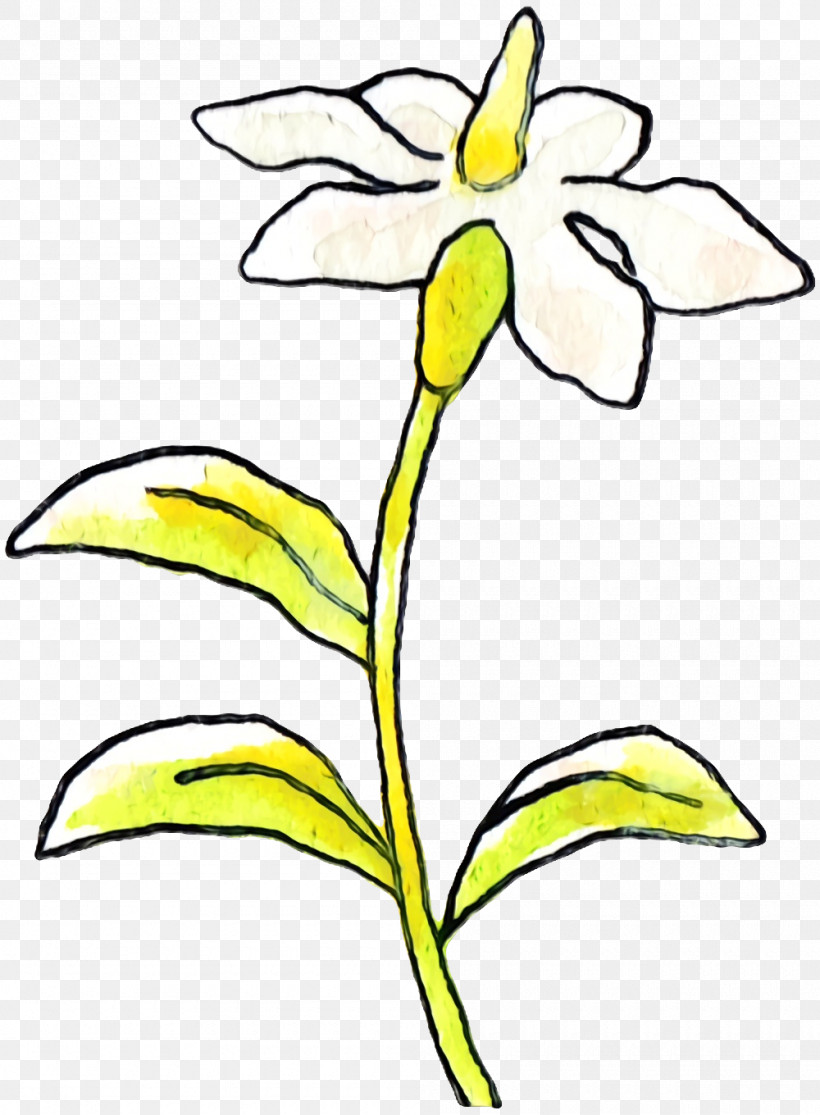 Cut Flowers Plant Stem Leaf Line Art Petal, PNG, 1000x1360px, Watercolor, Black White M, Cut Flowers, Flower, Leaf Download Free