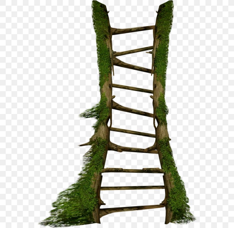 Stairs Ladder, PNG, 561x800px, Stairs, Bit, Data Compression, Designer, Grass Download Free