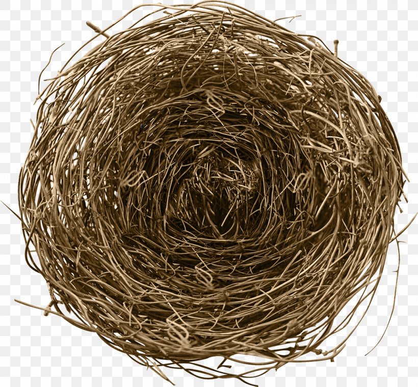 Birds, Nests, & Eggs Birds, Nests And Eggs Bird Nest, PNG, 1200x1113px, Bird, Beehive, Bird Nest, Birds Nests And Eggs, Birds Nests Eggs Download Free