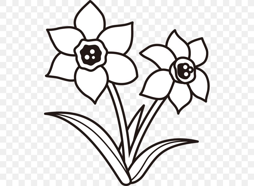 Drawing Monochrome Painting Plant Clip Art, PNG, 600x600px, Drawing, Artwork, Black And White, Cut Flowers, Daffodil Download Free