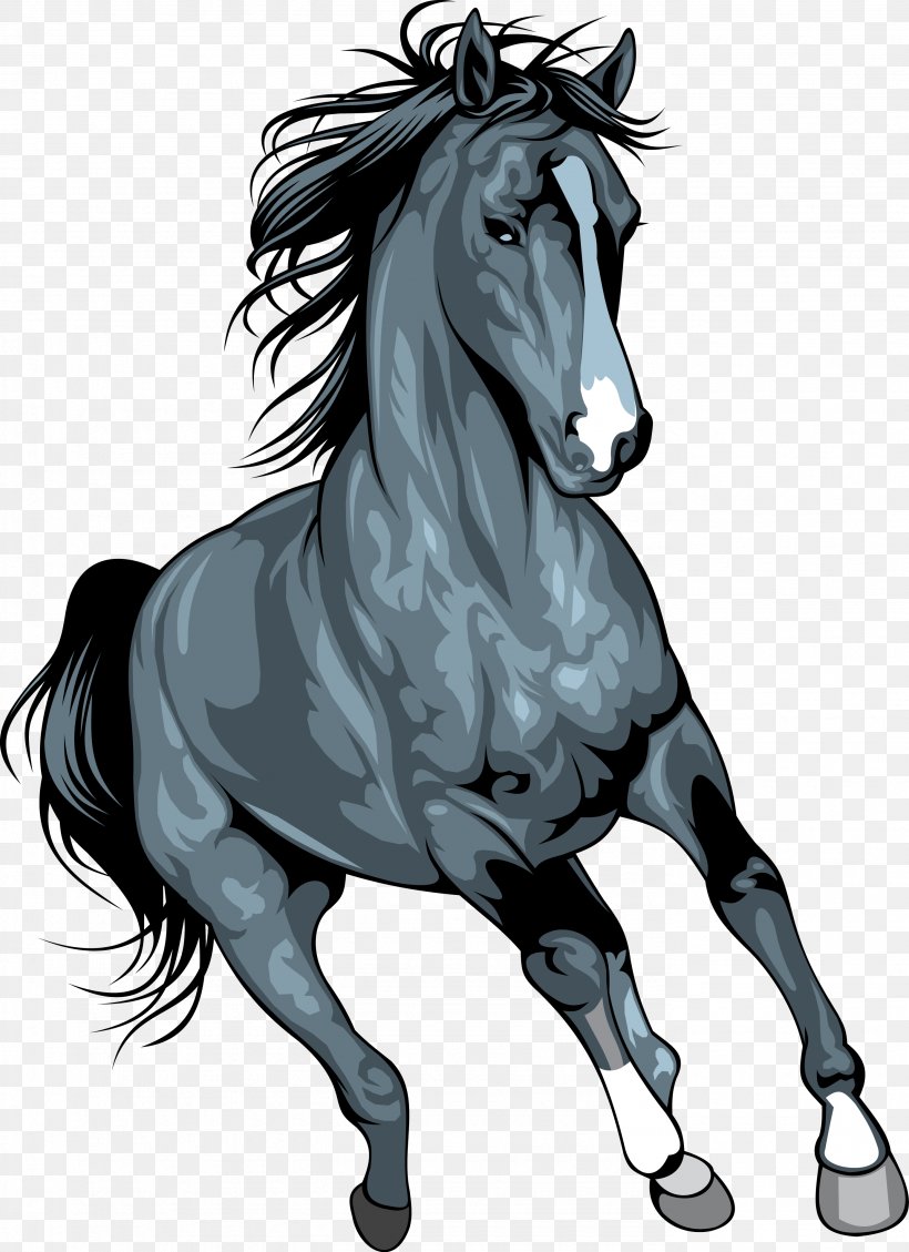 Mustang Arabian Horse Horses Clip Art Wild Horse, PNG, 2775x3822px, Mustang, Arabian Horse, Black, Black And White, Bridle Download Free