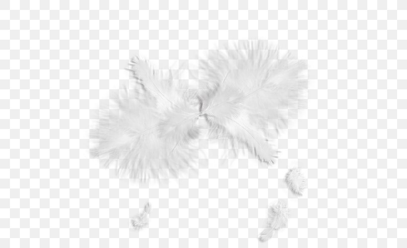 White Feather White Feather Clip Art, PNG, 500x500px, Feather, Black And White, Color, Creativity, Fur Download Free