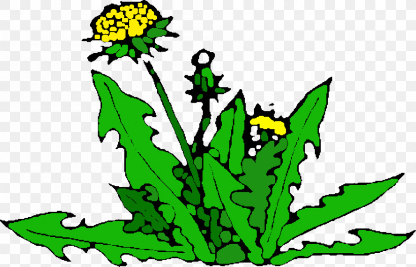 Dandelion, PNG, 1000x642px, Dandelion, Biology, Branch, Flower, Leaf Download Free