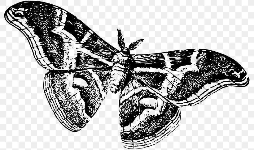 Butterfly Moth Silkworm Clip Art, PNG, 800x485px, Watercolor, Cartoon, Flower, Frame, Heart Download Free