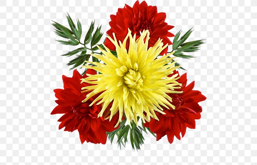 Cut Flowers Chrysanthemum Clip Art, PNG, 500x528px, Flower, Annual Plant, Aster, Blanket Flowers, Carnation Download Free