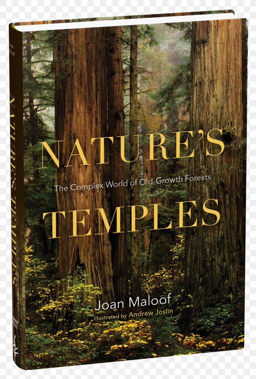 Nature's Temples: The Complex World Of Old-Growth Forests Among The Ancients: Adventures In The Eastern Old-Growth Forests Tree, PNG, 1722x2549px, Oldgrowth Forest, Biome, Book, Ecosystem, Forest Download Free