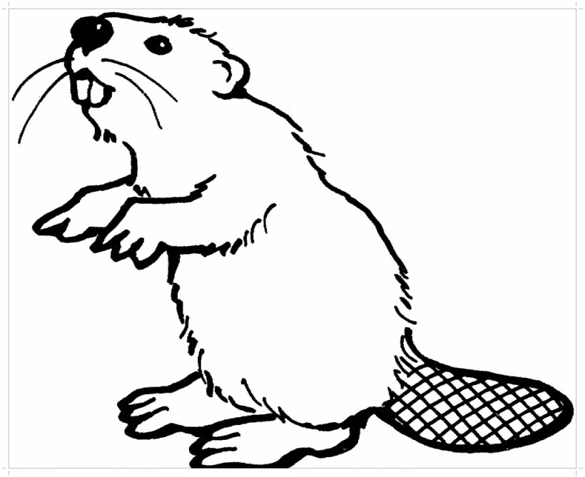 North American Beaver Coloring Book Felidae Rodent Castoroides, PNG, 1024x836px, North American Beaver, Adult, Animal, Art, Beak Download Free