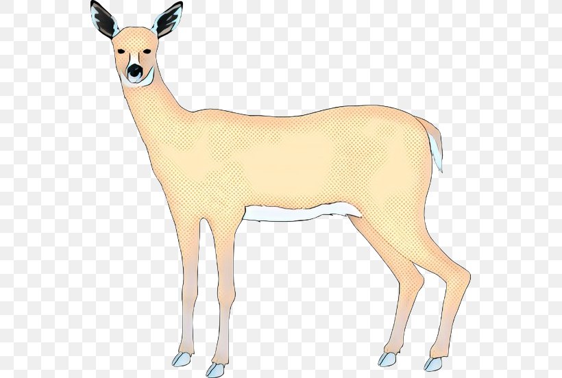 Reindeer White-tailed Deer Moschus Fauna, PNG, 555x552px, Reindeer, Animal, Animal Figure, Antelope, Cartoon Download Free