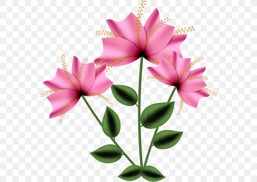 Wednesday Morning, PNG, 564x580px, Wednesday, Animated Film, Blessing, Cut Flowers, Flora Download Free