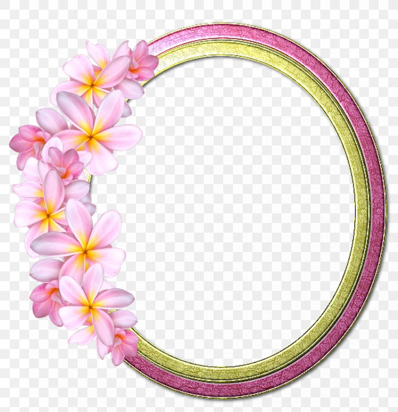 Cut Flowers Pink M Picture Frames Petal, PNG, 868x900px, Cut Flowers, Clothing Accessories, Flower, Hair, Hair Accessory Download Free