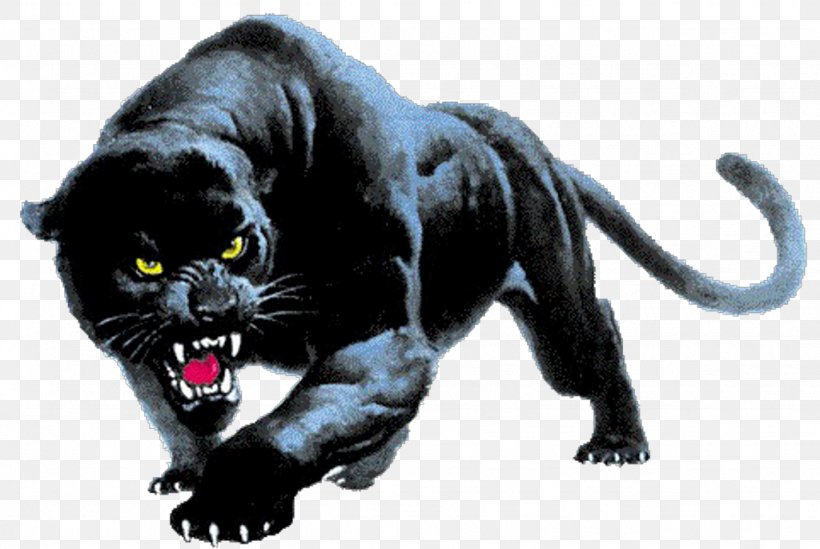Panther Desktop Wallpaper Clip Art, PNG, 1024x686px, Panther, Aggression, Big Cat, Big Cats, Black Panther Download Free