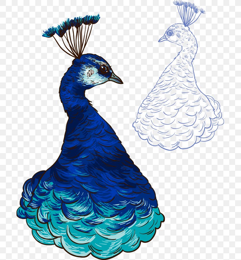 Peafowl Paper Illustration, PNG, 751x883px, Peafowl, Art, Asiatic Peafowl, Beak, Bird Download Free