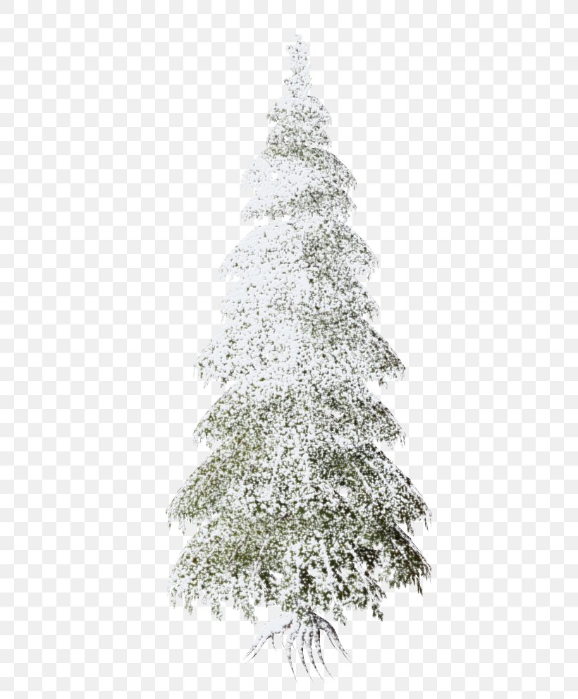 Christmas Ornament Christmas Tree Ded Moroz, PNG, 551x991px, Christmas Ornament, Autumn, Branch, Christmas, Christmas Decoration Download Free