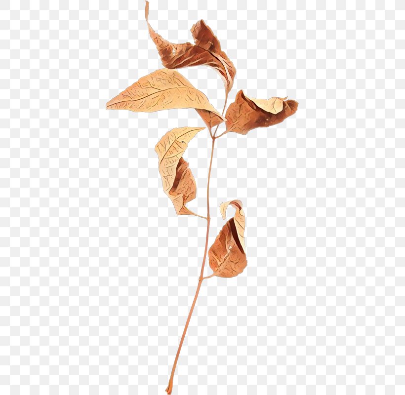 Plane, PNG, 391x800px, Cartoon, Anthurium, Flower, Leaf, Plane Download Free