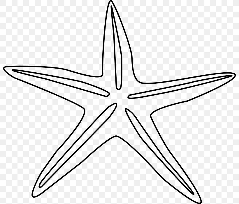 Starfish Coloring Book Line Art Clip Art, PNG, 800x702px, Starfish, Animal, Art, Black And White, Coloring Book Download Free