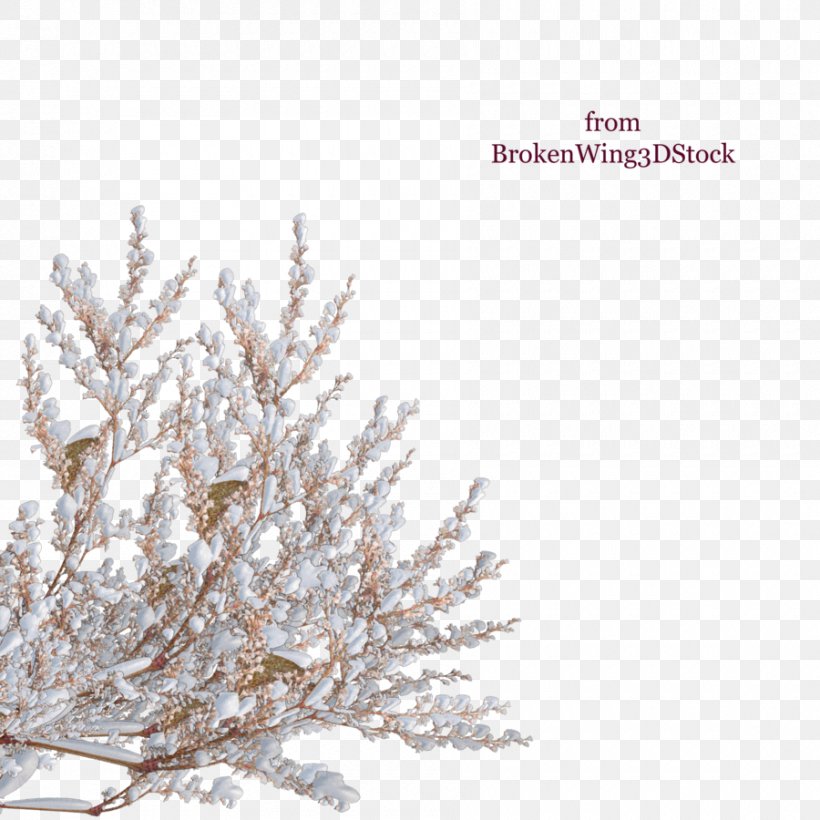 Tree Shrub Winter Branch, PNG, 900x900px, Tree, Blossom, Branch, Common Hibiscus, Lavender Download Free