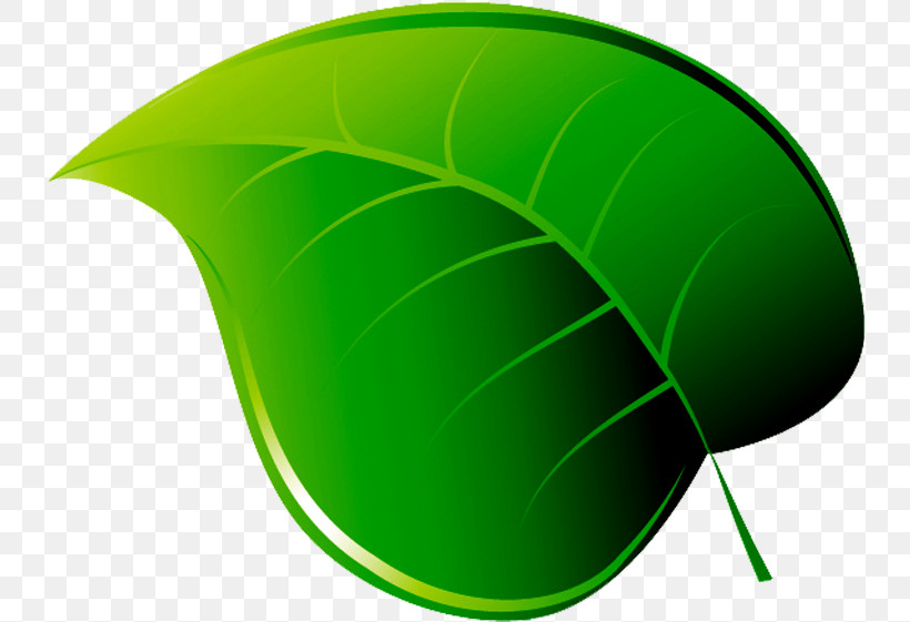 Green Leaf Line Logo Technology, PNG, 738x561px, Green, Leaf, Line, Logo, Plant Download Free