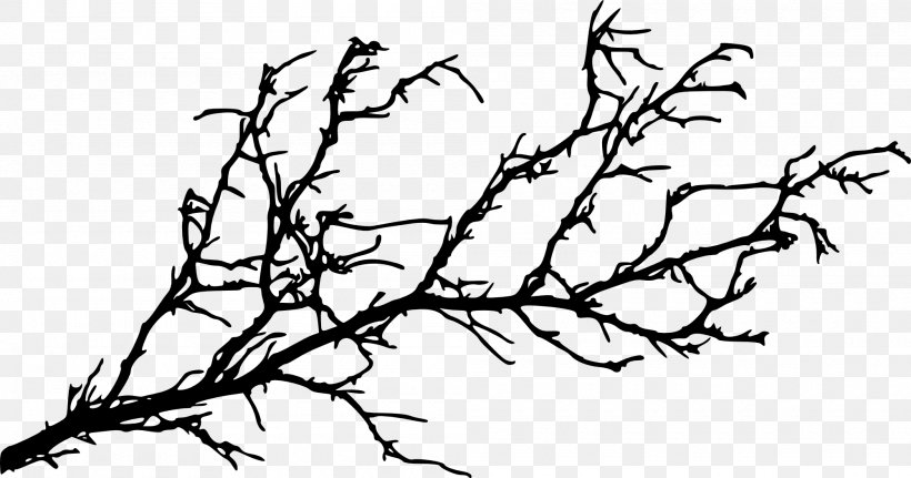 Branch Tree Silhouette Twig, PNG, 2000x1053px, Branch, Beak, Bird, Black And White, Flora Download Free