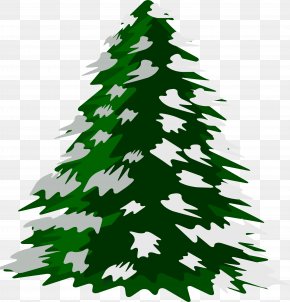 Christmas Tree Pine Clip Art, PNG, 6292x6319px, Christmas, Branch ...