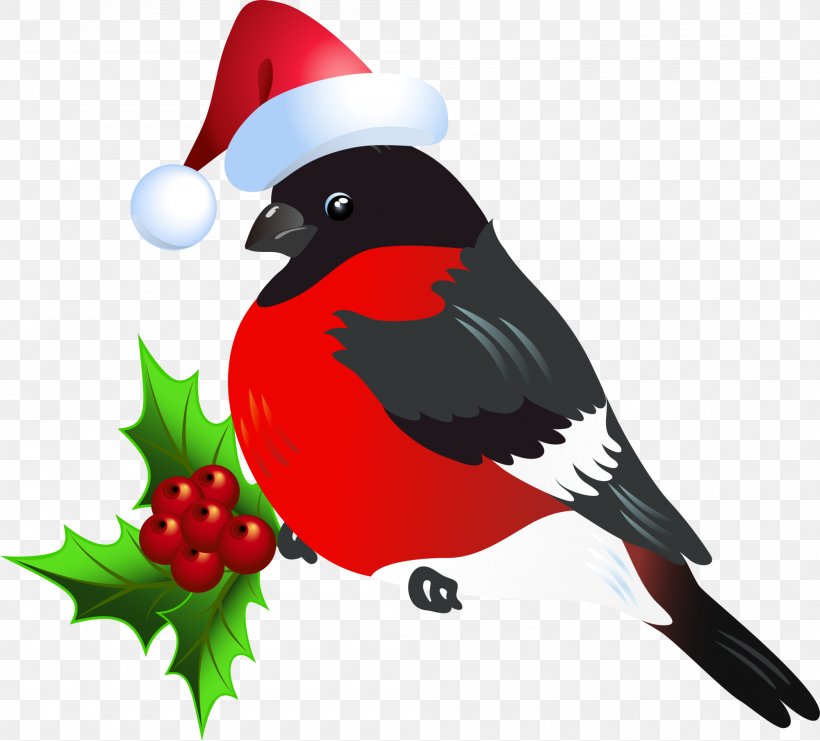 Bird Christmas, PNG, 2000x1809px, Bird, Art, Beak, Christmas, Google Images Download Free