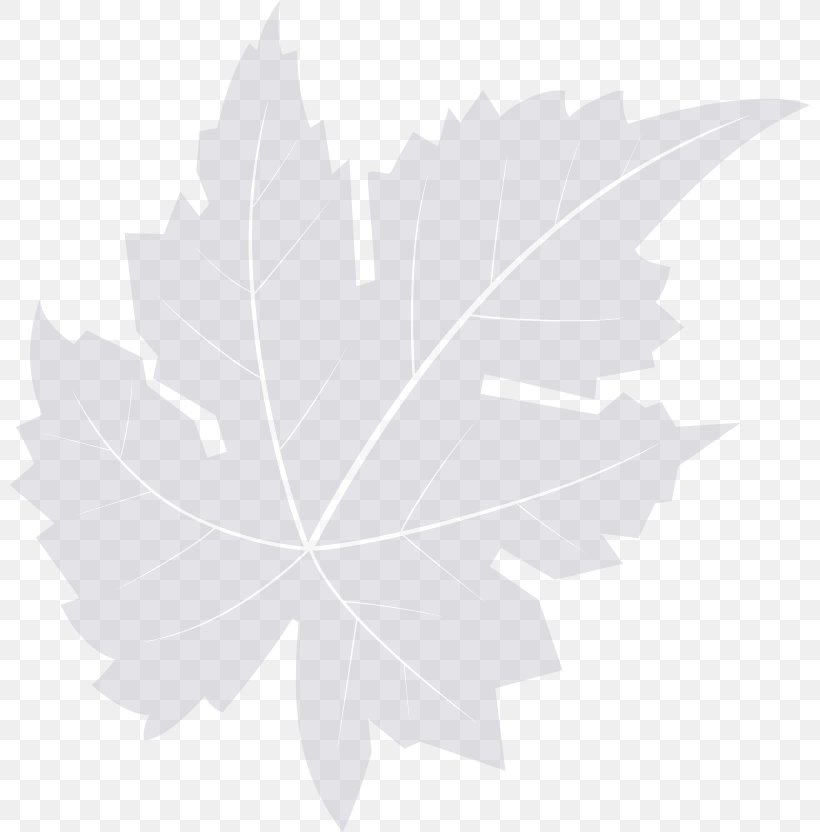 Maple Leaf Desktop Wallpaper Computer Font, PNG, 800x832px, Maple Leaf, Black And White, Computer, Flowering Plant, Leaf Download Free
