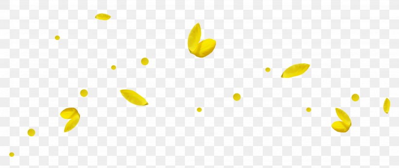 Yellow Petal, PNG, 2667x1125px, Yellow, Adobe Systems, Color, Computer, Computer Software Download Free