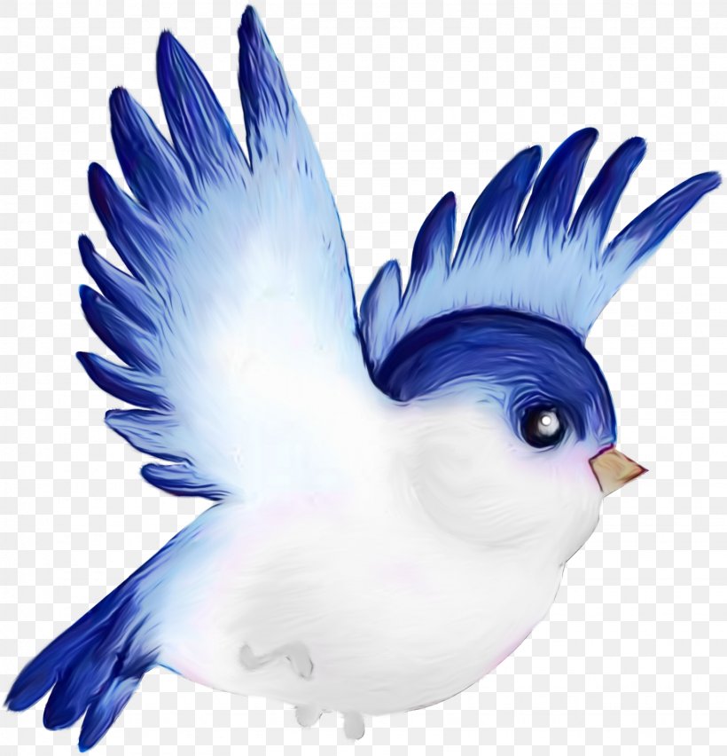 Bird Parrot, PNG, 1539x1600px, Watercolor, Beak, Bird, Bird Of Prey, Blog Download Free
