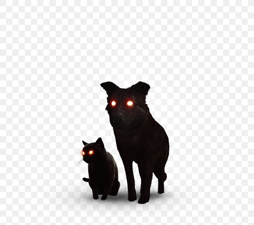 Black Cat Bombay Cat Korat Dog The Witcher, PNG, 654x727px, Black Cat, Bombay, Bombay Cat, Carnivoran, Cat Download Free