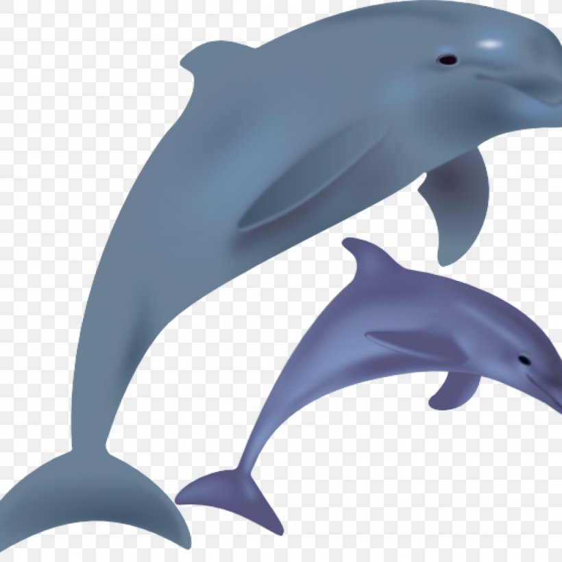 Common Bottlenose Dolphin Clip Art Openclipart Vector Graphics, PNG, 1024x1024px, Common Bottlenose Dolphin, Beak, Bottlenose Dolphin, Dolphin, Drawing Download Free