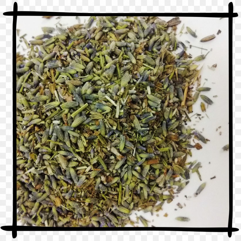 Hōjicha Nilgiri Tea Green Tea Golden Monkey Tea, PNG, 1000x1000px, Hojicha, Almond, Assam Tea, Bai Mudan, Biluochun Download Free
