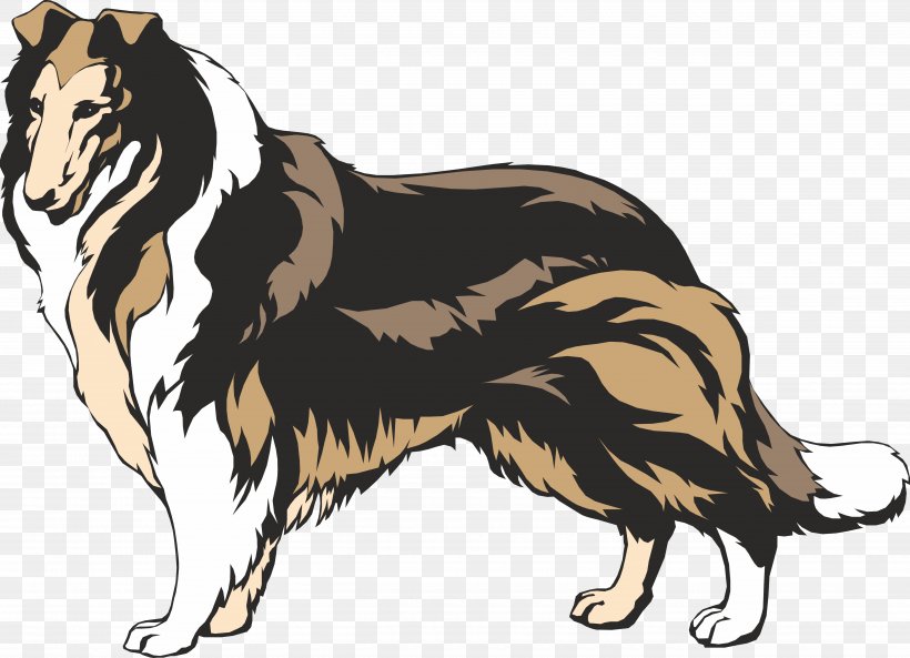 Rough Collie Border Collie Smooth Collie Clip Art, PNG, 5000x3616px, Rough Collie, Border Collie, Breed, Carnivoran, Collie Download Free