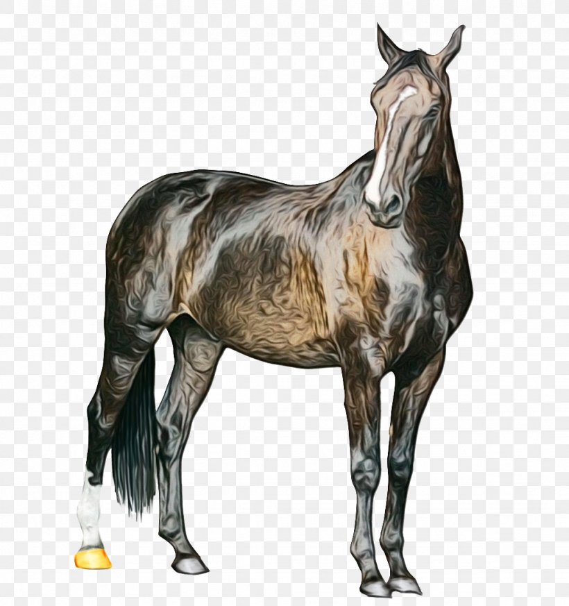Horse Cartoon, PNG, 1024x1091px, Mustang, American Paint Horse, Animal Figure, Black, Collection Download Free