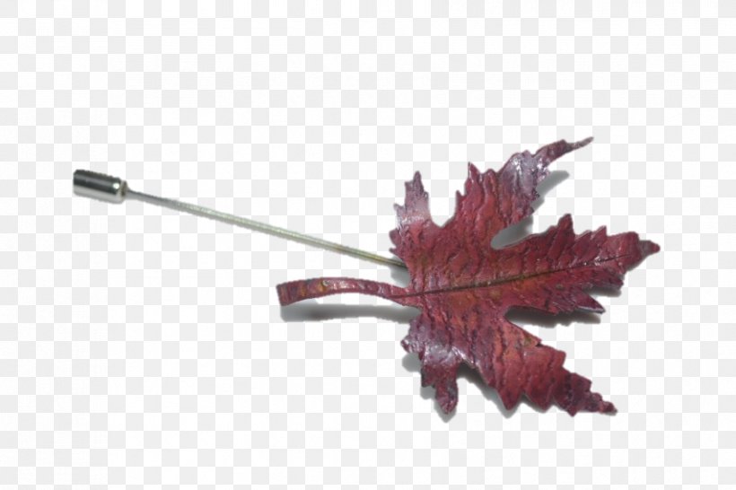 Leaf Autumn Red Hand-Sewing Needles Bitxi, PNG, 853x569px, Leaf, Autumn, Bitxi, Handsewing Needles, Octavio Paz Download Free
