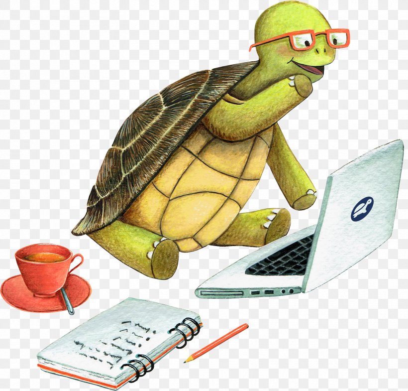 Tortoise Sea Turtle Teacher Learning, PNG, 1659x1589px, Tortoise, Behavior, Cartoon, Goal, Homo Sapiens Download Free
